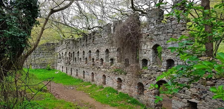 Kapıdağ'ın Saklı Hazinesi: Kirazlı Manastırı ve Ormanlı Şelalesi